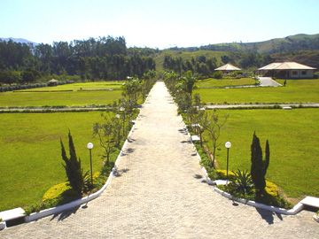 Floricultura e Cemitrio Jardim das Accias
