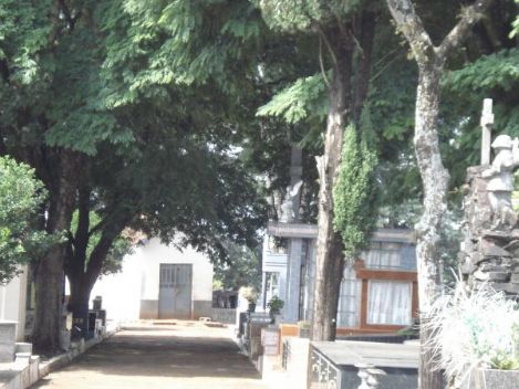 Floricultura e Cemitrio Municipal de Rolndia