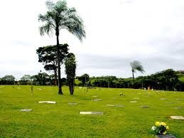 Floricultura e Cemitrio Parque das Aleias