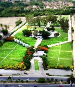 Floricultura e Cemitrio Parque das Flores 