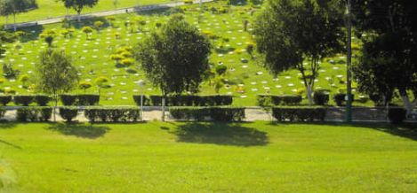 Floricultura e Cemitrio Parque Nicteroy