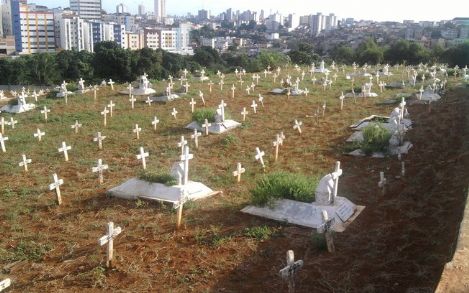 Floricultura e Cemitrio Quinta dos Lzaros