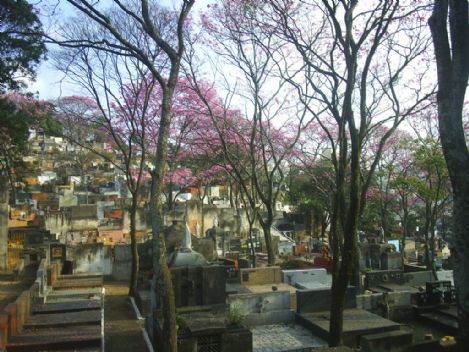 Floricultura e Cemitrio Vila Mariana