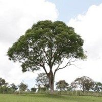 Floricultura e Cemit�rio Belo Vale