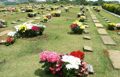 Floricultura e Cemitrio Colina dos Ips