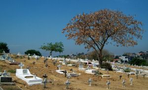 Floricultura e Cemitrio da Cacuia