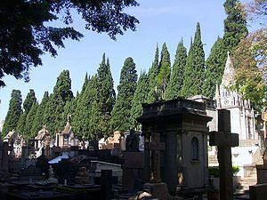 Floricultura e Cemitrio da Consolao SP