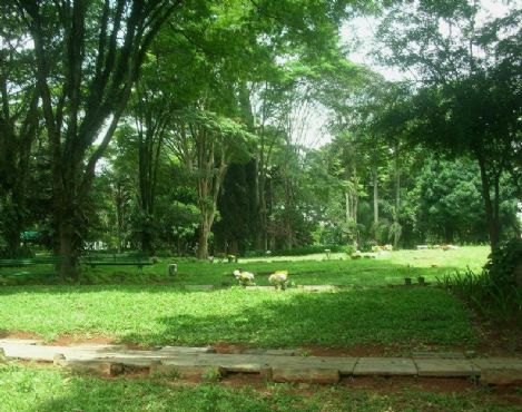 Floricultura e Cemitrio da Paz