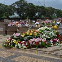 Floricultura e Cemitrio da Saudade de Limeira