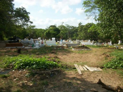 Floricultura e Cemitrio Jardim da Saudade