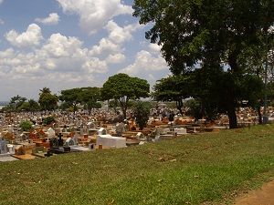 Floricultura e Cemitrio Jardim da Saudade