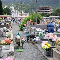 Floricultura e Cemitrio Municipal de Rio Vermelho