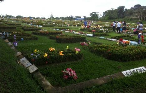 Floricultura e Cemitrio Nossa Senhora Aparecida