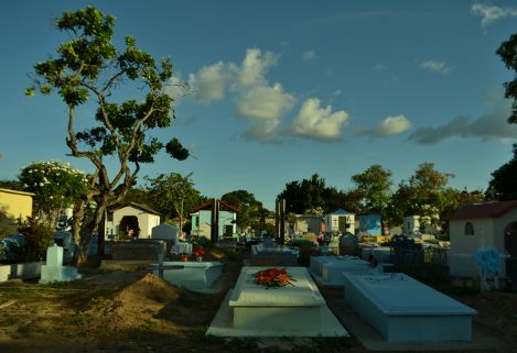 Floricultura e Cemit�rio Nossa Senhora da Concei��o