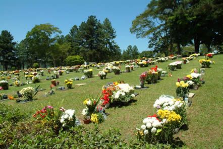 Floricultura e Cemitrio Parque das Oliveiras