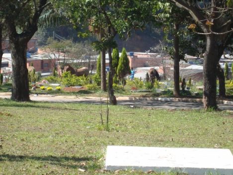 Floricultura e Cemitrio Parque dos Girassis