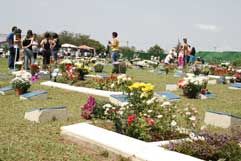 Floricultura e Cemitrio Parque Jardim das Oliveiras