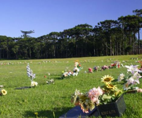 Floricultura e Cemitrio Parque Metropolitano