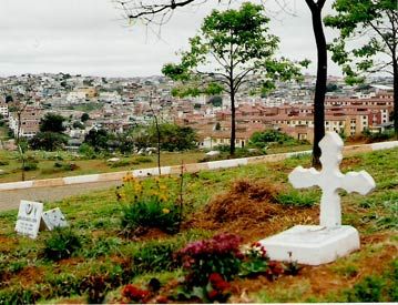 Floricultura e Cemitrio So Luiz